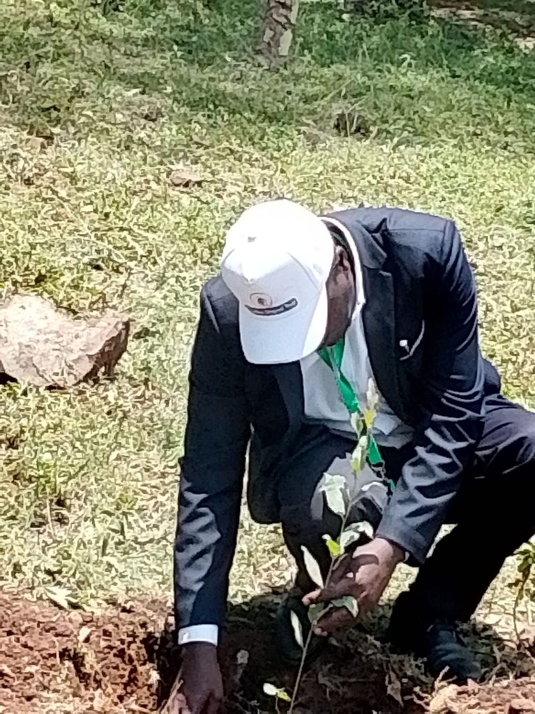 Tree planting activity (5)