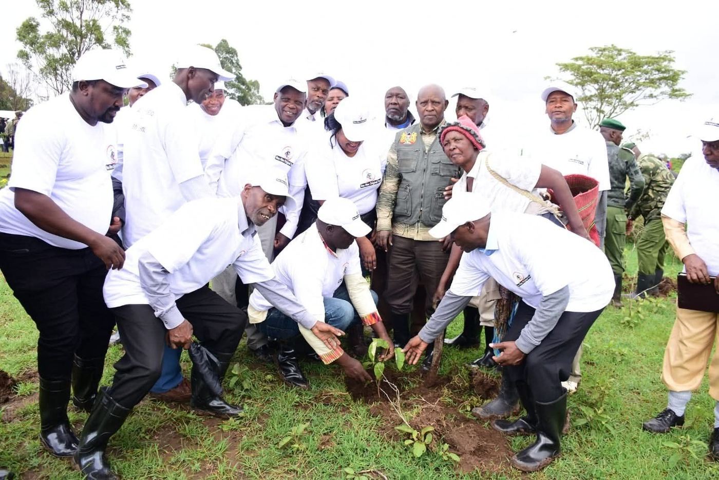 Tree planting activity (1)