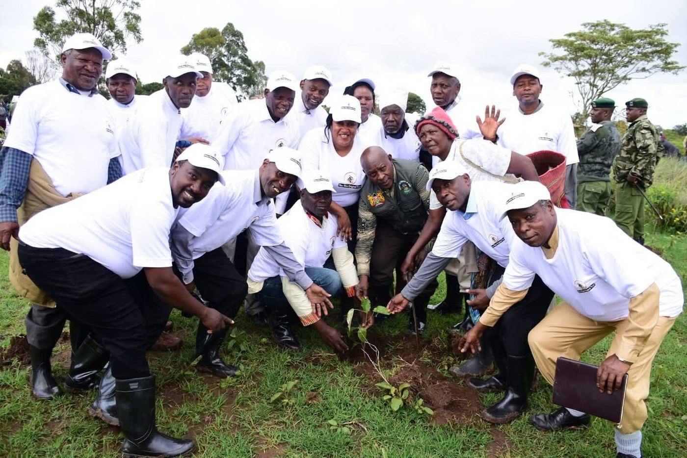 Tree planting activity (2)