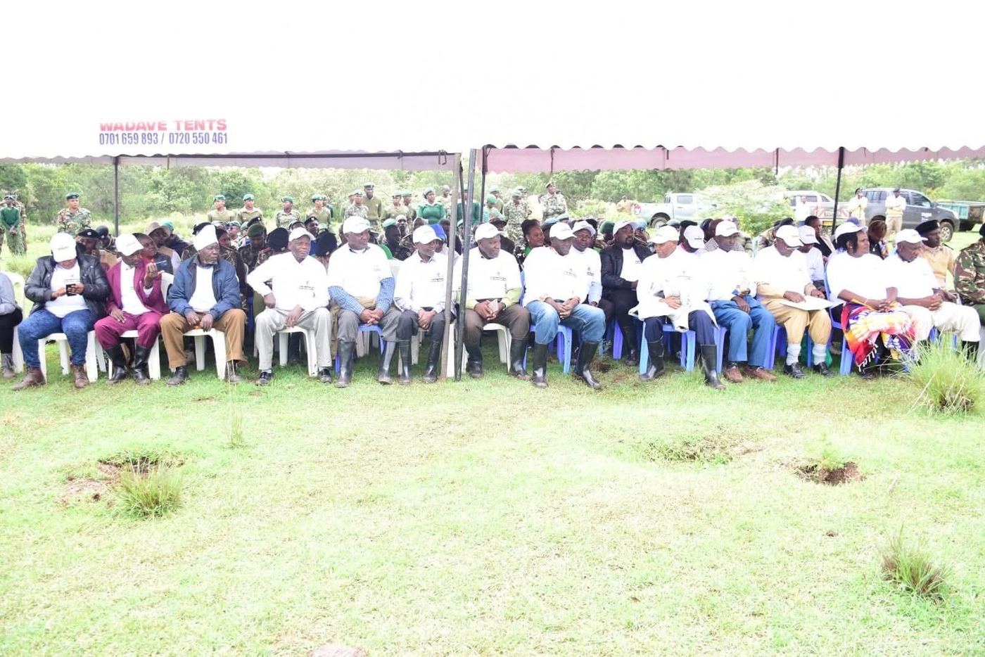 Tree planting activity (3)