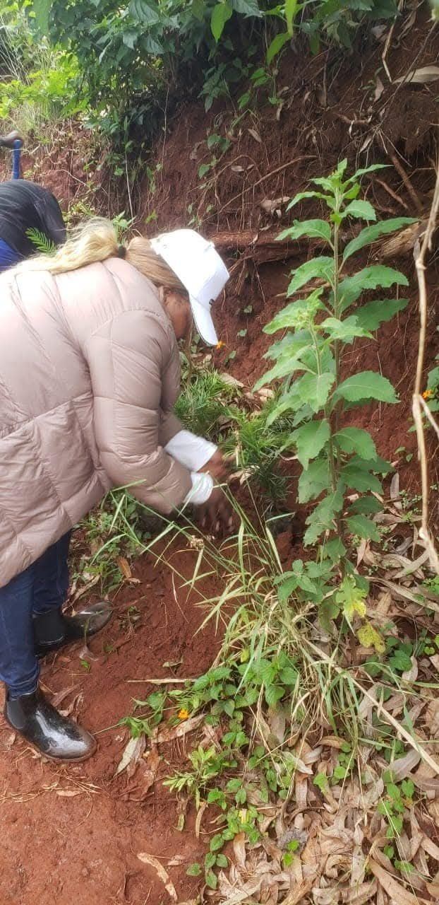 Environmental stewardship programme (1)