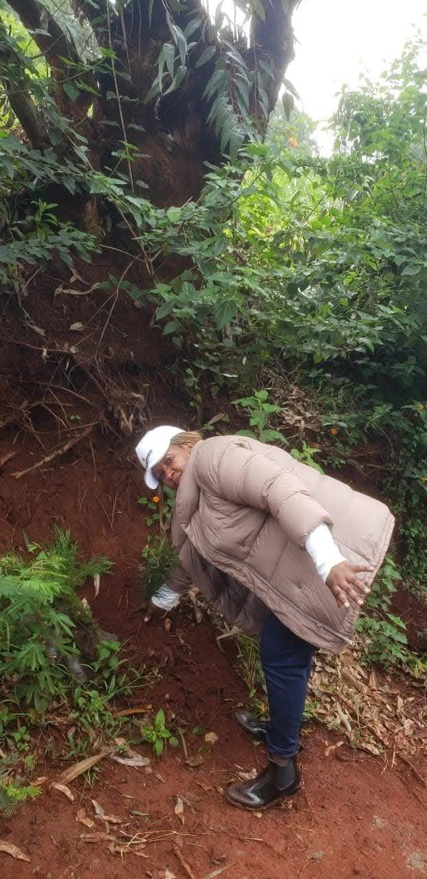 Environmental stewardship programme (5)