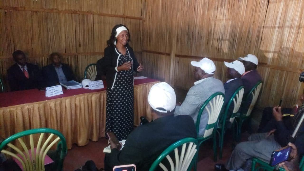 Veteran community consultation (2)